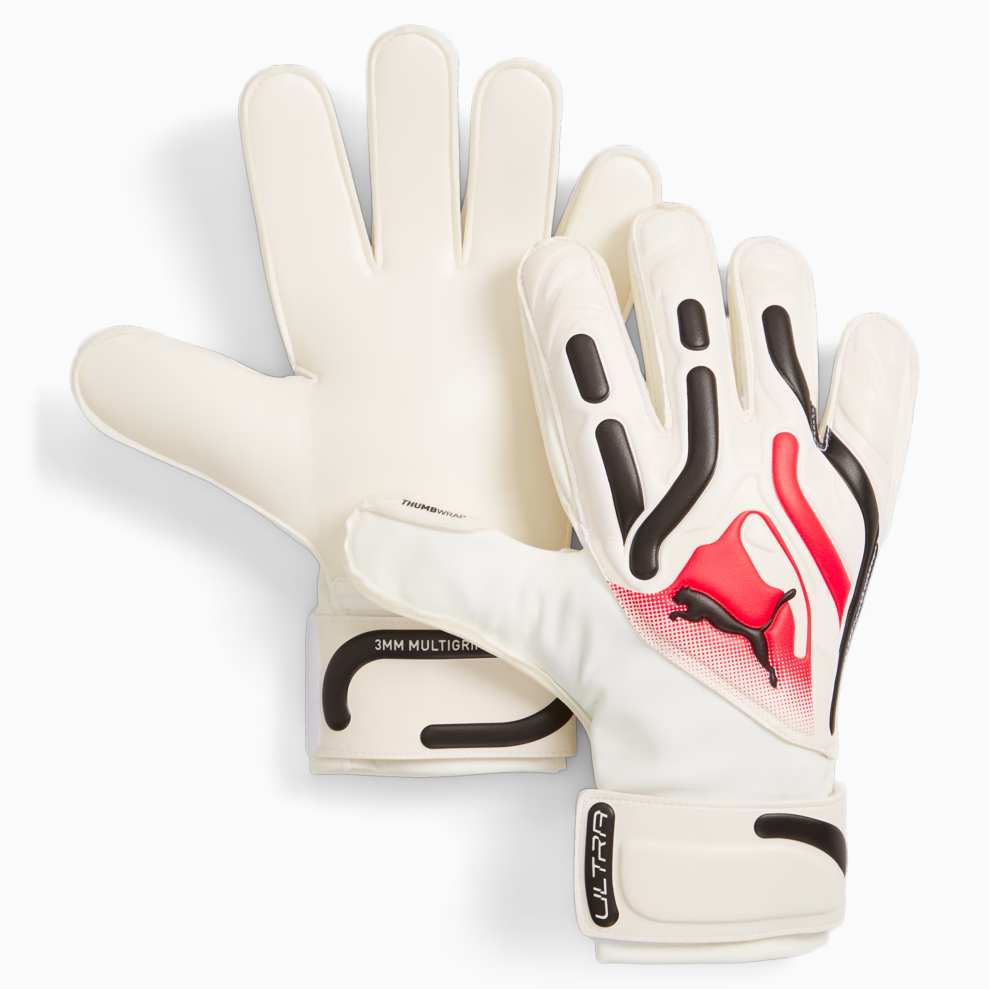 Puma goalkeeper gloves malaysia discount